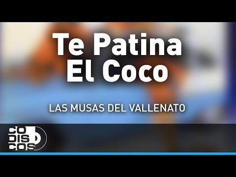Te Patina El Coco, Las Musas Del Vallenato - Audio