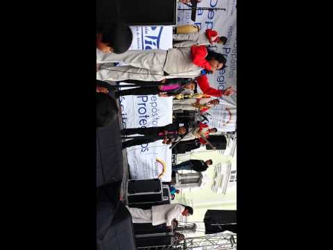 Combo tropical en otavalo parque bolivar