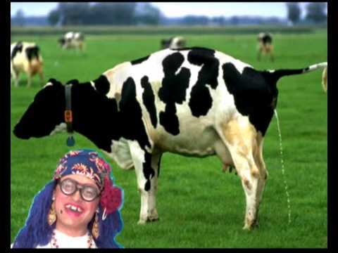 Dona Almira - Perfume de Mulher - Paródia