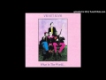 Velvet Elvis Back Where I Belong 1986