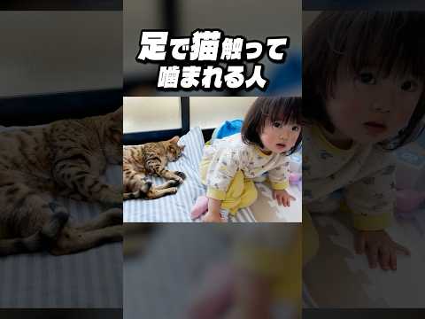 寝ている猫を足で触ったら噛まれちゃった人 #shorts #猫のいる暮らし