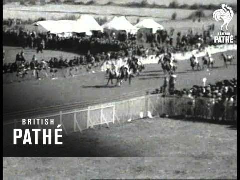 Dominick's Bar Wins Irish Grand National (1950)