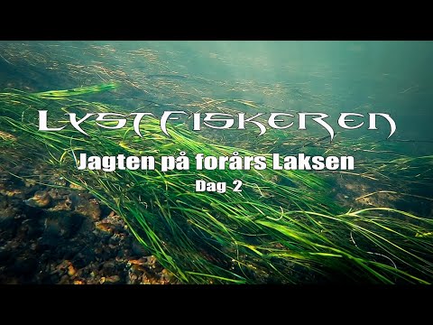 Jagten på forårs Laksen – Dag 2