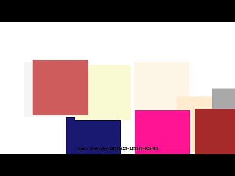 Video #web-pkg-20200223-133334-022481