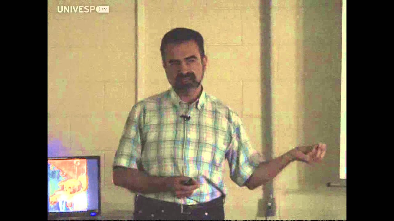 Cursos Unicamp: A História da Arte entre Brasil e Portugal - Pgm 04