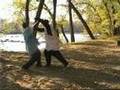 Tai Chi Combat 2