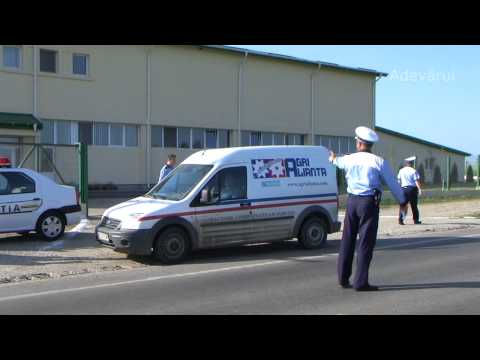 În căutarea lui "Vasilică"