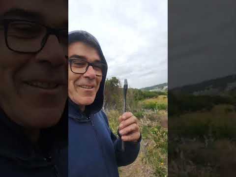 Vuelo en parapente  en  Punta Ballena Maldonado Uruguay 🇺🇾.