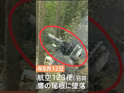 写ってはいけないものが写ってしまう【日航機墜落事故現場】御巣鷹山 #123便 #日航機墜落事故 #怖い話 #aviation #crash #viral #shorts
