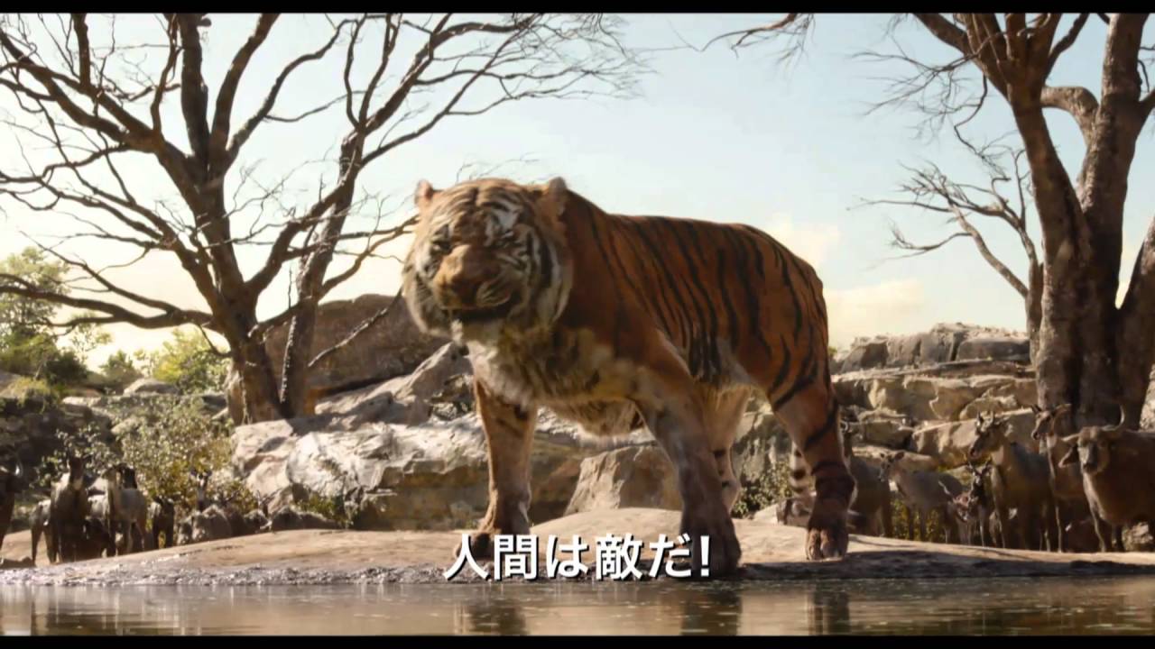 ディズニー映画最新作「ジャングル・ブック」予告編