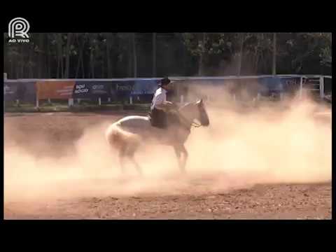 Sapucaia (RJ) – 3° lugar fêmeas – Lua de Mel do Recanto Crioulo (Prova: Bayard/Sarmento)