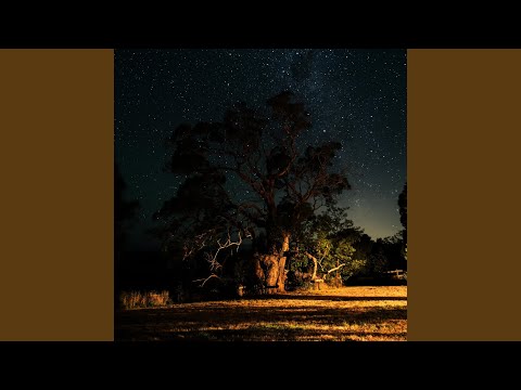 Chopin: Berceuse, Lullaby