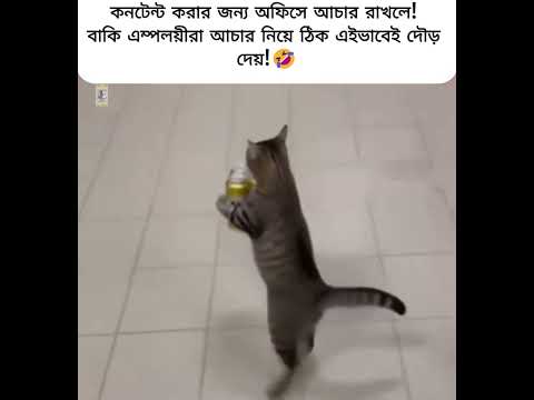 এই হলো অবস্থা!🙍‍♂️#food  #khatiana  #shorts #shortvideo