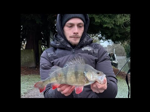 On the hunt Fishing the River Loddon for a pb perch ! “I Found the Golden spot for the perch !” Pt.1