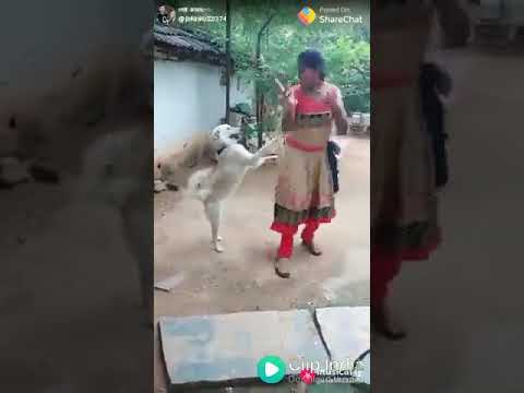 Dipankar roy funny dog