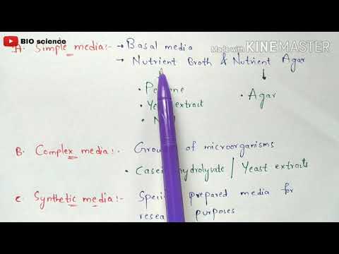 STRUCTURE OF BACTERIA BY PHANINDRA GUPTHA