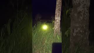 Download lagu Penampakan Hantu Terjelas dan terseram #penampakan kuntilanak asli #penampakanpocong mp3