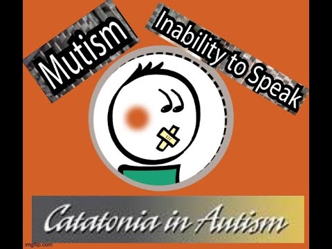 The Difference between CATATONIA Related Mutism in Autism & Situational Mutism