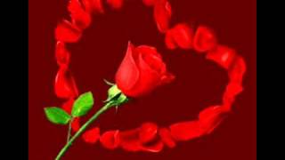 que se mueran de envidia Javier Solis