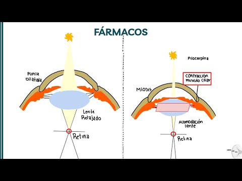 FARMACOLOGÍA DE MUSCARÍNICOS DIRECTOS ½