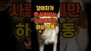 "강아지가 싫어하는 사람에게만 보이는 행동!" #강아지 #애견영상 #명언