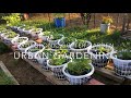 Hydroponic Wicking Gutter Garden Urban Gardening Magnolia Street Garden