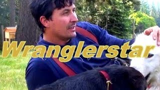 Beekeeping For Beginners pt5