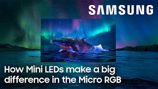 Samsung How Mini LEDs make a big difference in the Micro RGB TV
