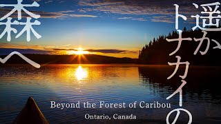 遥かトナカイの森へ – カナダ・オンタリオの大自然でカヤックフィッシング＆キャンプ | Beyond the Forest of Caribou
