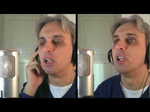 How to sing a cover of Dr Robert Beatles Vocal Harmony