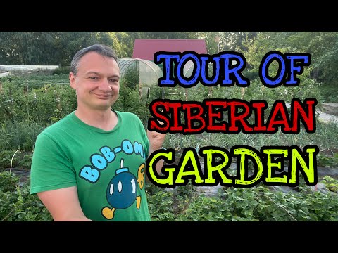 Tour of Siberian Dacha Garden