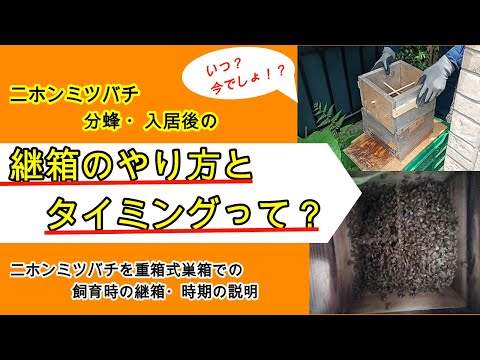 巣箱を外敵から守る 密閉型 半堅種 鳥類 季節繁殖 深さ