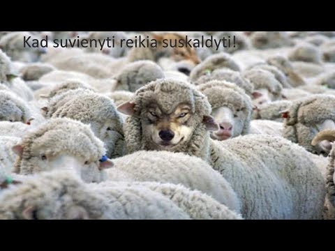 Kad suvienyti reikia suskaldyti!