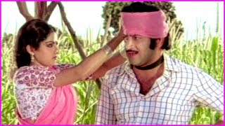 Kirayi Kotigadu Movie Comedy Scenes - Part 2 | Krishna | Sridevi | Allu Ramalingaiah