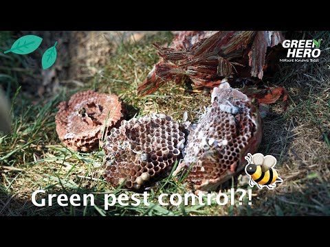 GreenHero "Frost Spray" - "Can a green pest control product replace my biocide?"
