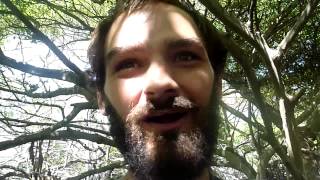 Phimai, Thailand | Nov 4 - 5, 2009 | RTW Ep.9