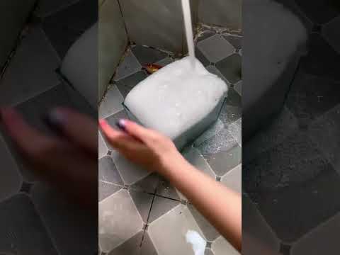 เราเลี้ยงปลาทองผิดกันมาตลอด(อย่าทำตามเน้อ)