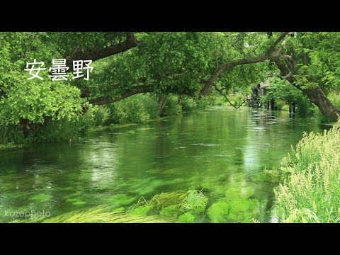 シンガポール:穏やかな自然を持つ小さな美しさ