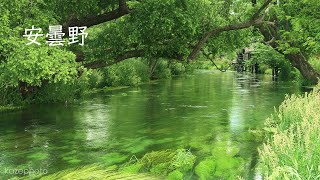 4K【安曇野】美しき安曇野 水景色  リラックスできる最高の場所