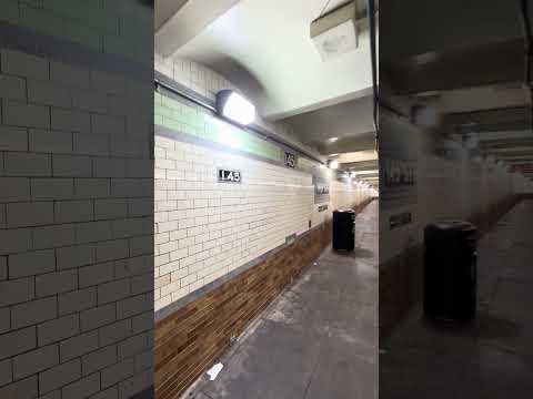145th Street subway station styles its name 5 different ways so close together thumbnail