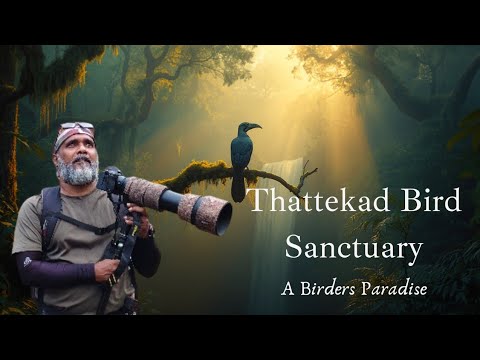 THATTEKAD | A birders Paradise | JUNGLE BIRD homestay🦉