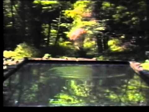 download lagu mp3 mp4 The Reflecting Pool, download lagu The Reflecting Pool gratis, unduh video klip The Reflecting Pool