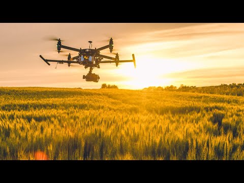 Mit Hightech auf Spurensuche - Doku|Deutsch|HD