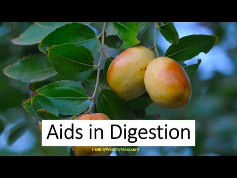 download lagu mp3 mp4 Damson Uses, download lagu Damson Uses gratis, unduh video klip Damson Uses