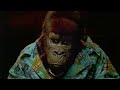 Ape In Vegas Poker Game Kenny Rogers Cameo George Of The Jungle 2