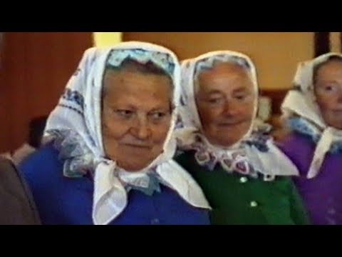 JRD Trebatice   1987 - 2002