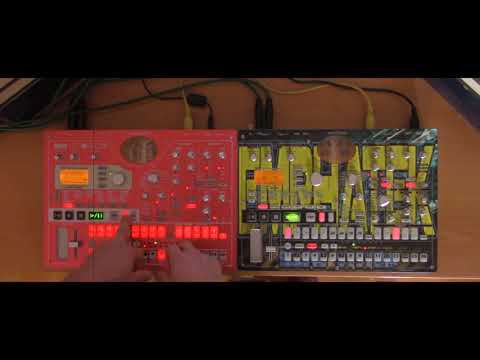 MASAMUNE YOMON - By TYSOT ( Korg LIVE ) - TRIBECORE -