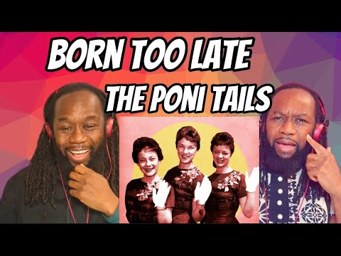 THE PONI TAILS - Born too late REACTION - The perfect teenage love struck song - First time hearing