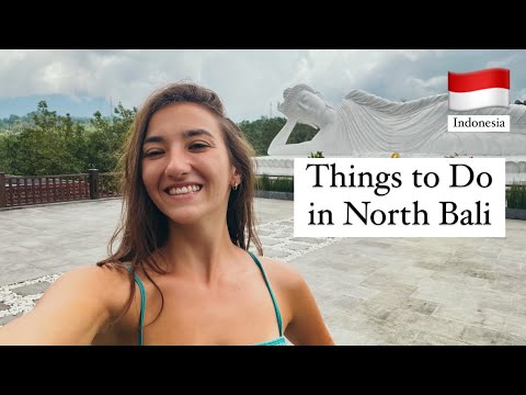 Exploring NORTH BALI - Dolphin Tour in Lovina?