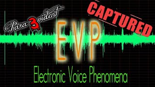 EVP captured at Indian Burial Ground!!